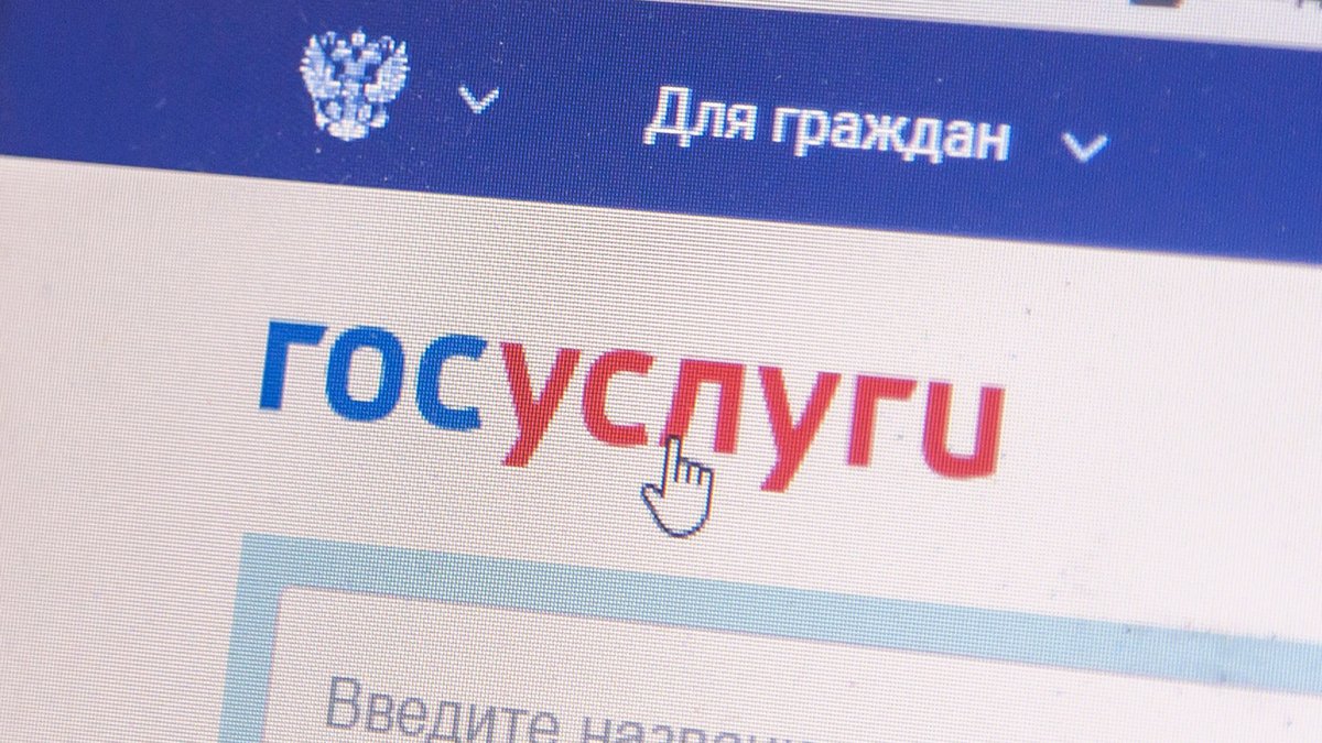 Удостоверение многодетной семьи добавили на Госуслуги в виде QR-кода